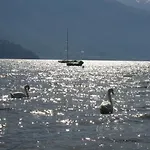 Tullio 3*
