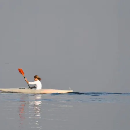 图利奥酒店 酒店
